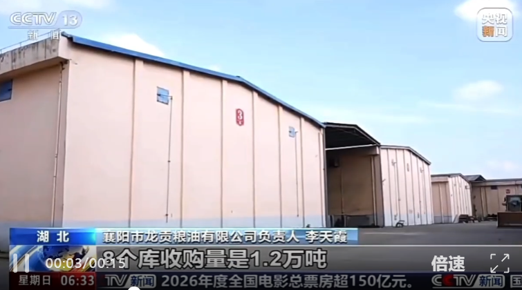 央视聚焦·实力护航｜森米诺烘干机驰援湖北襄阳抢收攻坚战，以硬核装备守护粮食安全
